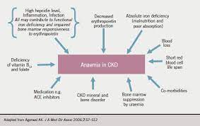 Lessons To Be Learned From Recent Studies Of Anaemia Management In Chronic Kidney Disease The British Journal Of Cardiology