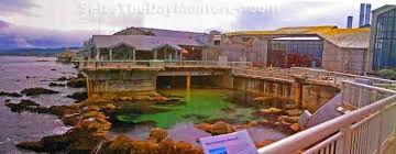 The Monterey Bay Aquarium Deck Offers Great Views Of The Bay Coupons For The Monterey Bay Aquarium Monterey Bay Aquarium Monterey Bay California Monterey Bay