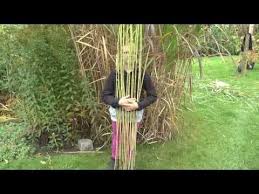Pflanzen Vermehrung Teil 6 Chinaschilf Miscanthus Gartnertipp Instructions Youtube In 2020 Chinaschilf Pflanzen Vermehrung Pflanzen