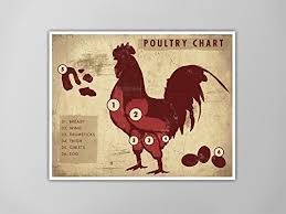Amazon Com Poultry Meat Chart Art Print Rustic Poultry