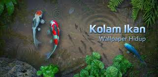 Paling Keren 30 Wallpaper Pemandangan Alam Bergerak Untuk Laptop Wallpaper Hidup Kolam Ikan Koi Aplikasi Di Google Play D Di 2020 Taman Air Kolam Ikan Pemandangan