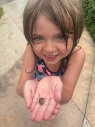 This little guy was very slowly crossing the pathway. I'm so glad I noticed  him because he without a doubt would've gotten stepped