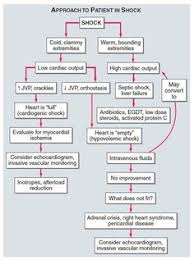 problem solving emt patient assessment flow chart 2019