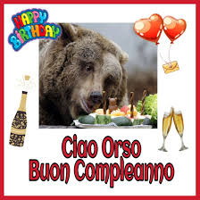 Buon Compleanno Orso Buon Compleanno Compleanno Auguri Di Compleanno