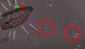 Once killed, she will respawn in ten seconds. Osrs Scorpia Boss Guide Novammo