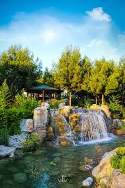 صورة من اعماق الطبيعة في اسطنبول تركيا nature outdoor house styles