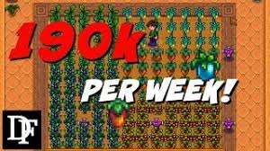 Ancient fruit are, however, much much lower maintenance due to not needing to be reseeded or fertilized. Ultimate Greenhouse Guide Stardew Valley Gameplay Hd Youtube