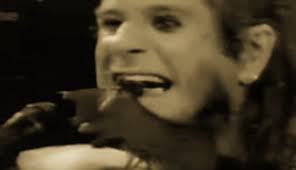 80 S Scandals Ozzy Osbourne Bites The Head Off A Bat The 80s Ruled