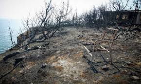Η επιχείρηση «μάτι» η μεγάλη φωτιά που ξέσπασε με περίεργο τρόπο. Fwtia Sto Mati Kai Se Politika Proswpa Oi Diw3eis Gia Kakoyrghmata