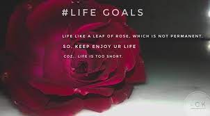 Motivational Quotes 2k19 Addition Newthaughts With Red Rose By C K Motivational Quotes Life Is Short Life