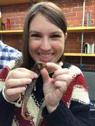 Sea, Sand and Sky: January 2017