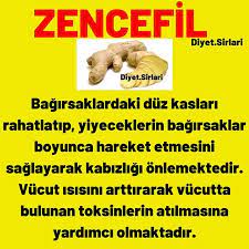 pin on bitkiler ve yararlari