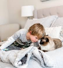 Eg1dmhp3ojpv8m Get katie cullen's contact information, age, background check, white pages, liens, civil records, marriage history, divorce records & email.