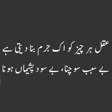 Pin By Furqan Qtr On Fu Qtr Urdu Words Urdu Poetry Deep Words