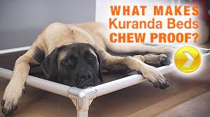Sorry, the kuranda standard dog bed has been discontinued. Dog Beds Kuranda Dog Beds