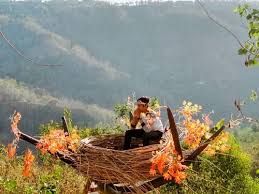 Berburu foto di hutan pinus imogiri bantul jogja. 11 Wisata Mangunan Jogja Update Tempat Wisata Di Bantul Imogiri 2021