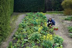 Get a subscription for your home & garden digital magazines on our newsstand. Home Garden The New York Times