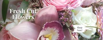 Check spelling or type a new query. Ross Plants Flowers Greenhouse Gift Shop Orefield Pa