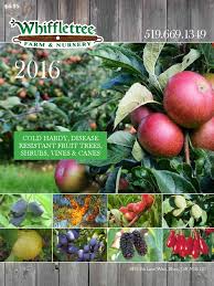 Bush up to 8 ft. Whiffletree Catalogue Hardy Fruit Trees Apple Cider