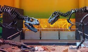 Museo Del Desierto Chihuahuense El Regreso De Los Dinosaurios Lugares Turisticos De Chihuahua Desierto De Chihuahua Chihuahua