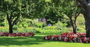 Check spelling or type a new query. The Best Flowering Perennials For The Shade Gardener S Path