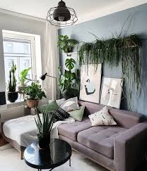 We did not find results for: Thesill Now That S What We Call A Living Room Plant Inspo Via Gretchen Ross All For Gardening