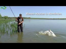 43+ frisch bilder prostituierte nach hause / prost. Riesen Hausen In Rumanien Youtube