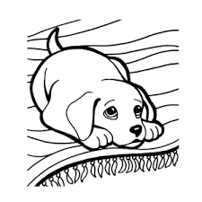 Meer kleurplaten van hond (10), de alle advertenties van hond en kat, donkerbroek op marktplaats. Kleurplaten Baby Honden