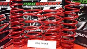 Seringkali ada saja permasalahan di motor yang dikeluhkan karena terasa mengganjal dan mengganggu kenyamanan. Proexpert Sport Spring Waja Gen2 Persona Car Accessories Parts For Sale In Johor Bahru Johor Mudah My