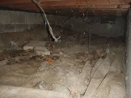 Crawl Space Cleanup Contractor In Vaughan Markham Mississauga