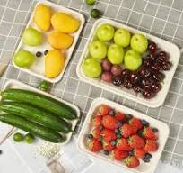 Biodegradable Molded Fiber Meat Trays Sugarcane Bagasse 2s Disposable Fruit  Meat Tray