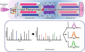 We did not find results for: Basics Of Mass Spectrometry And Its Applications In Biomarker Discovery Springerlink