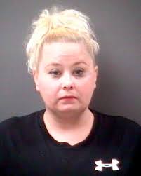 Hillsdale family arrested in Black Friday thefts