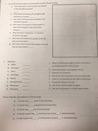 Check spelling or type a new query. An Animal Cell With 4 Pairs Of Chromosomes Is Going Chegg Com