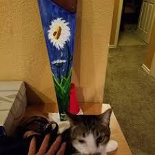 I also love to draw, but don't expect anything too skilled, i'm not the best at. 10 Random Things I Paint Ideas Painting Popsockets Paper Shopping Bag