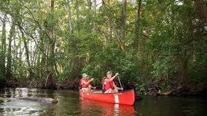 River healing springs blackville sc camping. The Road To Summer In The Upstate Greenville Journal