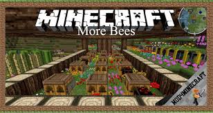Are always the same set of beerelated mods used in conjunction with forestry . More Bees Mod 1 12 2 1 11 2 1 10 2 For Minecraft