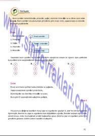 7 Sinif Fen Bilimleri Mevsim Yayinlari Ders Kitabi Cevaplari Sayfa 15 7 Sinif Fen Bilimleri Mevsim Yayinlari Ders Kitabi Cevaplari S Kitap Sinif Vitaminler