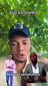 Stanley Goldenrod Vs