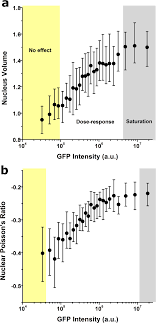 This volume provides the plant scientific community with a collection of established and recently developed experimental protocols to study plant gravitropism. Lifeact Taggfp2 Alters F Actin Organization Cellular Morphology And Biophysical Behaviour Scientific Reports
