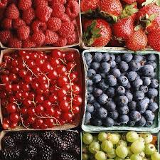 Fruits Fresh Fruit Recipes Fruit Recipes Fresh Fruit