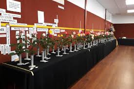 Have front entrance facing the street. Sunlive What S On Gypsy Fair Ship Tour Roses Diwali The Bay S News First