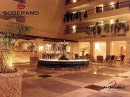 Pin On Tips Chihuahua