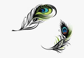 bird feather peafowl euclidean vector vector peacock feather png transparent png transparent png image pngitem bird feather peafowl euclidean vector