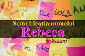 Este alături de oameni de peste 9500 ani și în prezent este cel mai cunoscut animal domestic în toată lumea. SemnificaÈ›ia Numelui Rebeca Bebee Ro