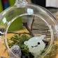 Angleton - Teen: Mini Cemeterrarium event image