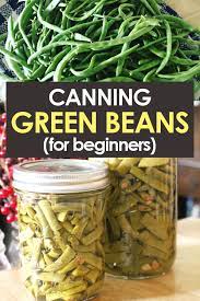 How To Pressure Can Green Beans Easy Raw Pack Method