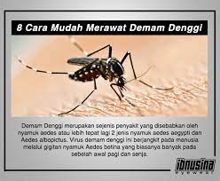 Memastikan tiada tempat pembiakan nyamuk seperti membuang bekas yang boleh menakung air. Kaki Viral 8 Cara Mudah Merawat Demam Denggi Facebook