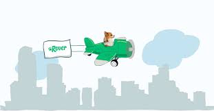 Responds in about 2 hours. Most Popular Dog And Cat Names In Denver Rover Com