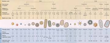 Pin On Microbiology